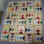 A Goose of Another Colour