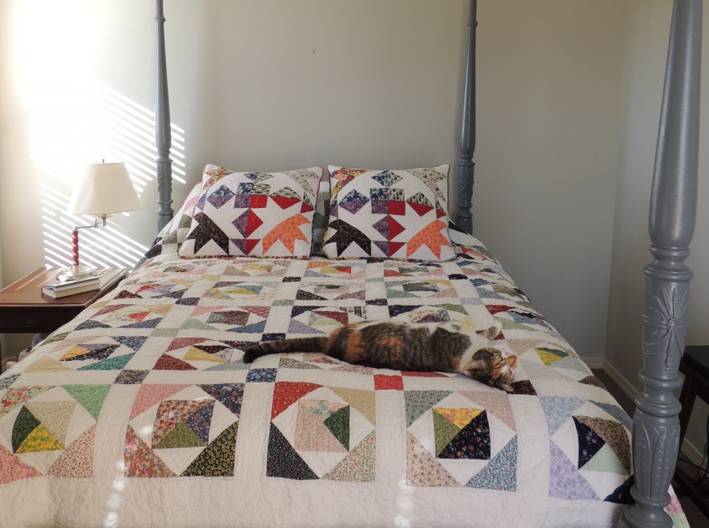 Long View of Scrappy Quilt and New Split Star Pillows