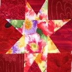 Kim’s Star Blocks