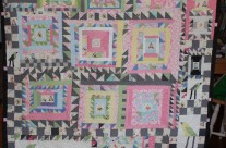 Bird Trap w/Block Lotto Birds