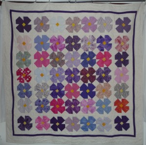 violets again