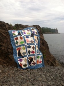 photo 2 (5)
