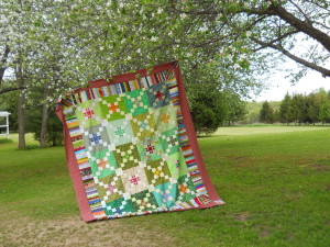 big quilts star cross mystery 005