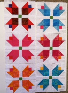 photo (3)