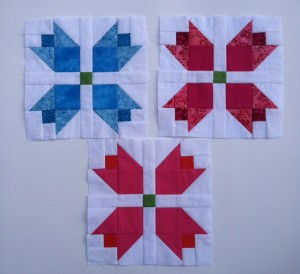 photo (6)