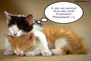 i-am-so-sorry-cute-cat-graphic