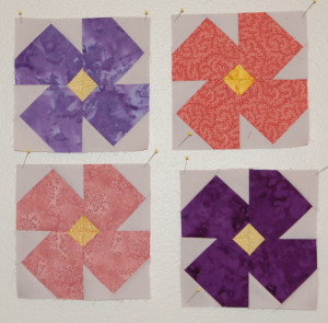 4violets_Lotto