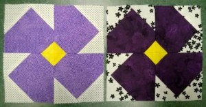 violets