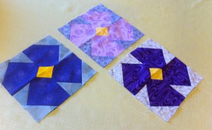 Violets from Nann