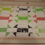 9 Tall Fly Blocks from Kathy S.