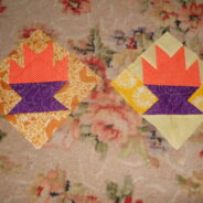 Two Cactus from Kathy S.