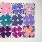 Erin, Glenna and Karen L. Your Violets are on their way!!!