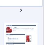 This Page Intentionally blank