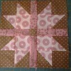 A Single December Star