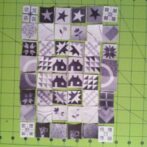 Helen’s 2013 sampler blocks…