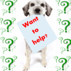 How You Can Help